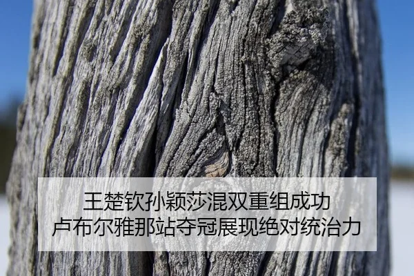 王楚钦孙颖莎混双重组成功 卢布尔雅那站夺冠展现绝对统治力